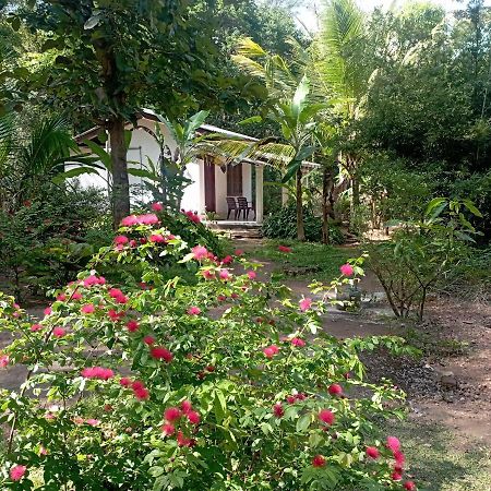 Sanjana Home Stay Habarana Exteriér fotografie