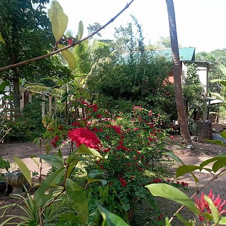 Sanjana Home Stay Habarana Exteriér fotografie