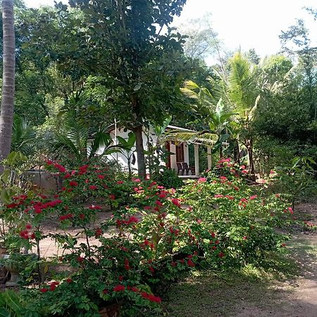 Sanjana Home Stay Habarana Exteriér fotografie