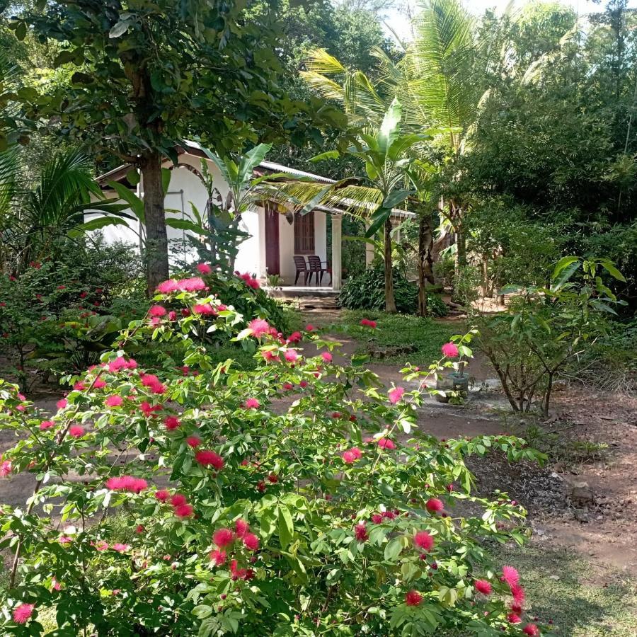 Sanjana Home Stay Habarana Exteriér fotografie
