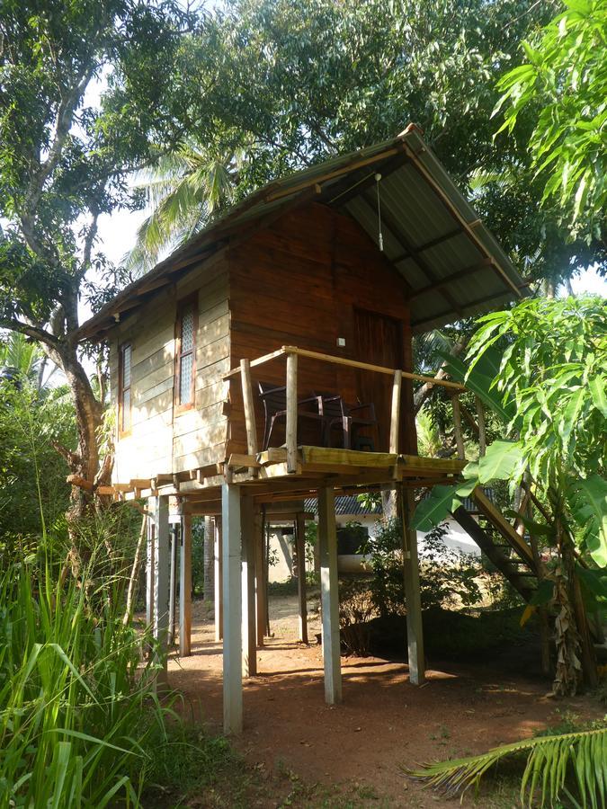 Sanjana Home Stay Habarana Exteriér fotografie