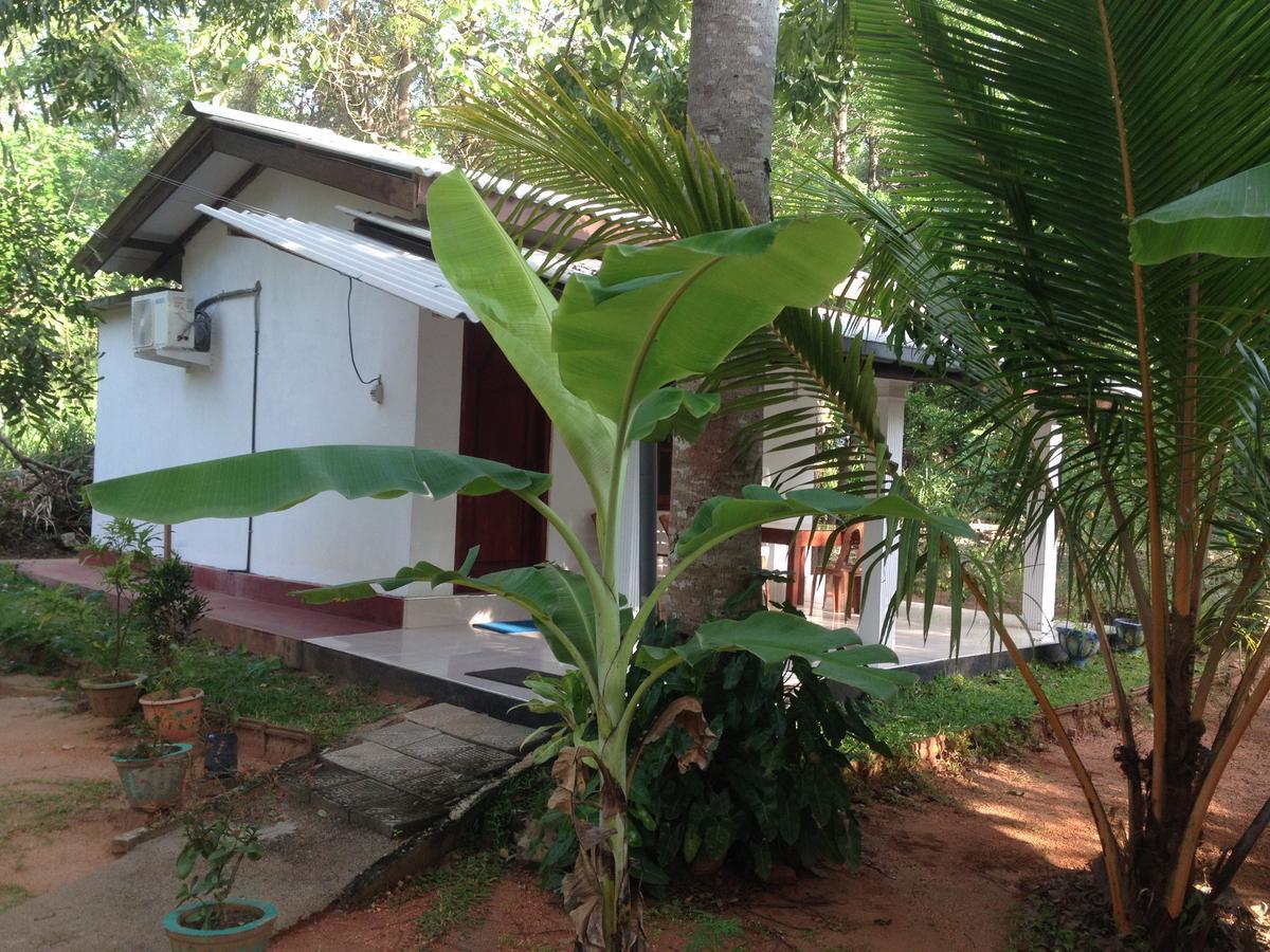 Sanjana Home Stay Habarana Exteriér fotografie