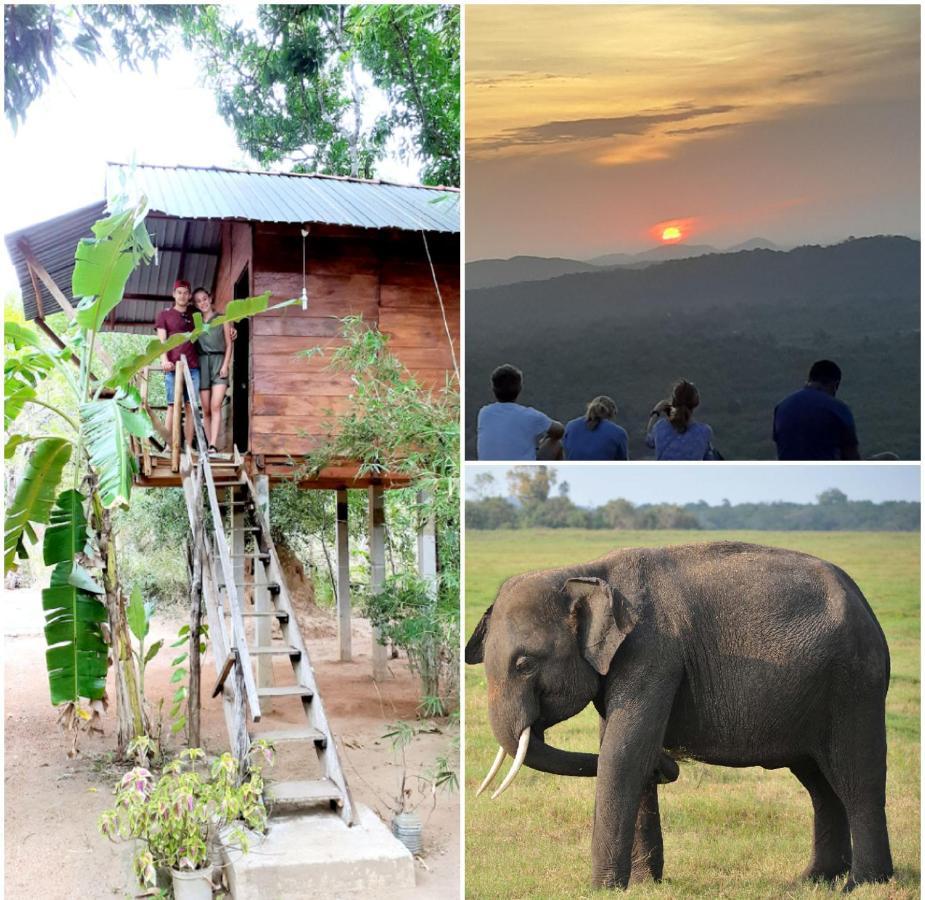 Sanjana Home Stay Habarana Exteriér fotografie